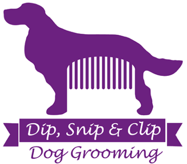 Dog Grooming in Sittingbourne, Kent